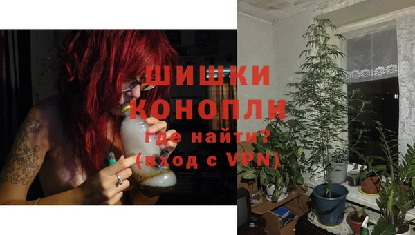 гидра Липки