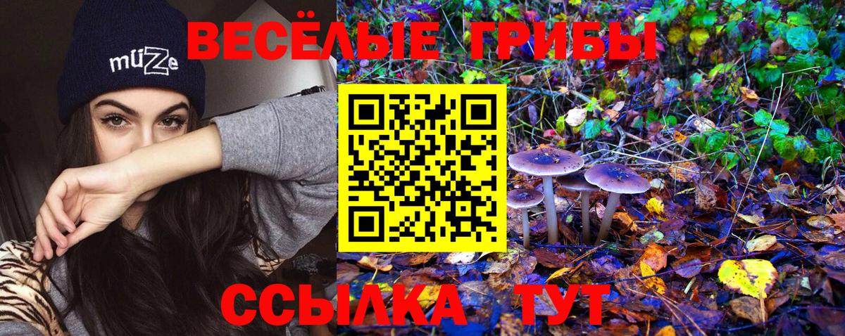 Псилоцибиновые грибы GOLDEN TEACHER Кстово