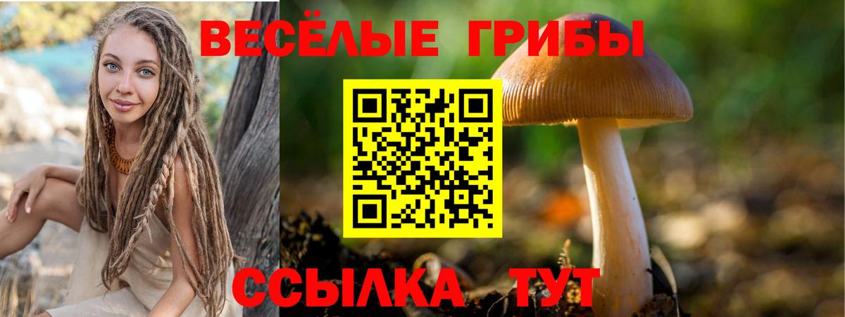 Псилоцибиновые грибы Cubensis  что такое наркотик  Кстово  Вход с VPN  Галлюциногенные грибы Psilocybine cubensis 